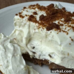 Creamy texture of the Woolworth's Cheesecake dessert recipe with a gingersnap crust.