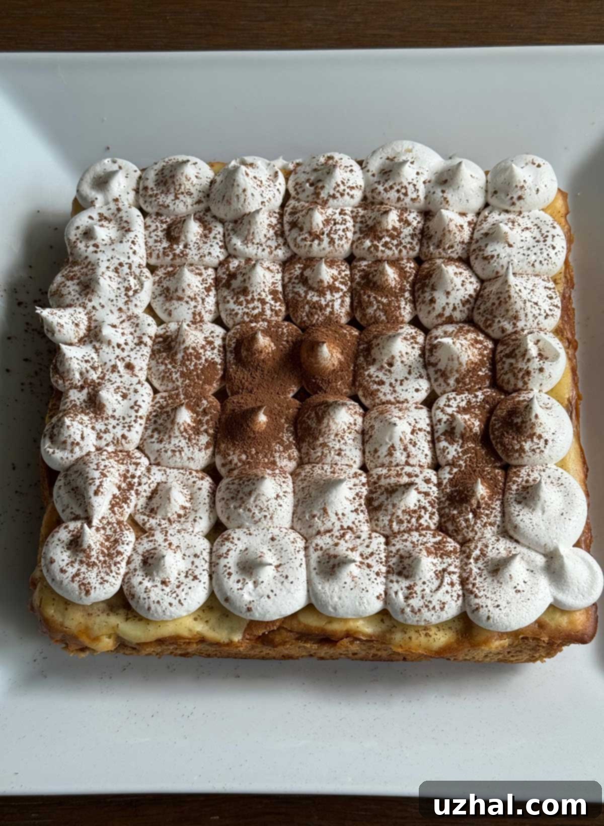 Cheesecake baked in an 8-inch square pan with whipped cream and cocoa powder, ready for serving a smaller group.