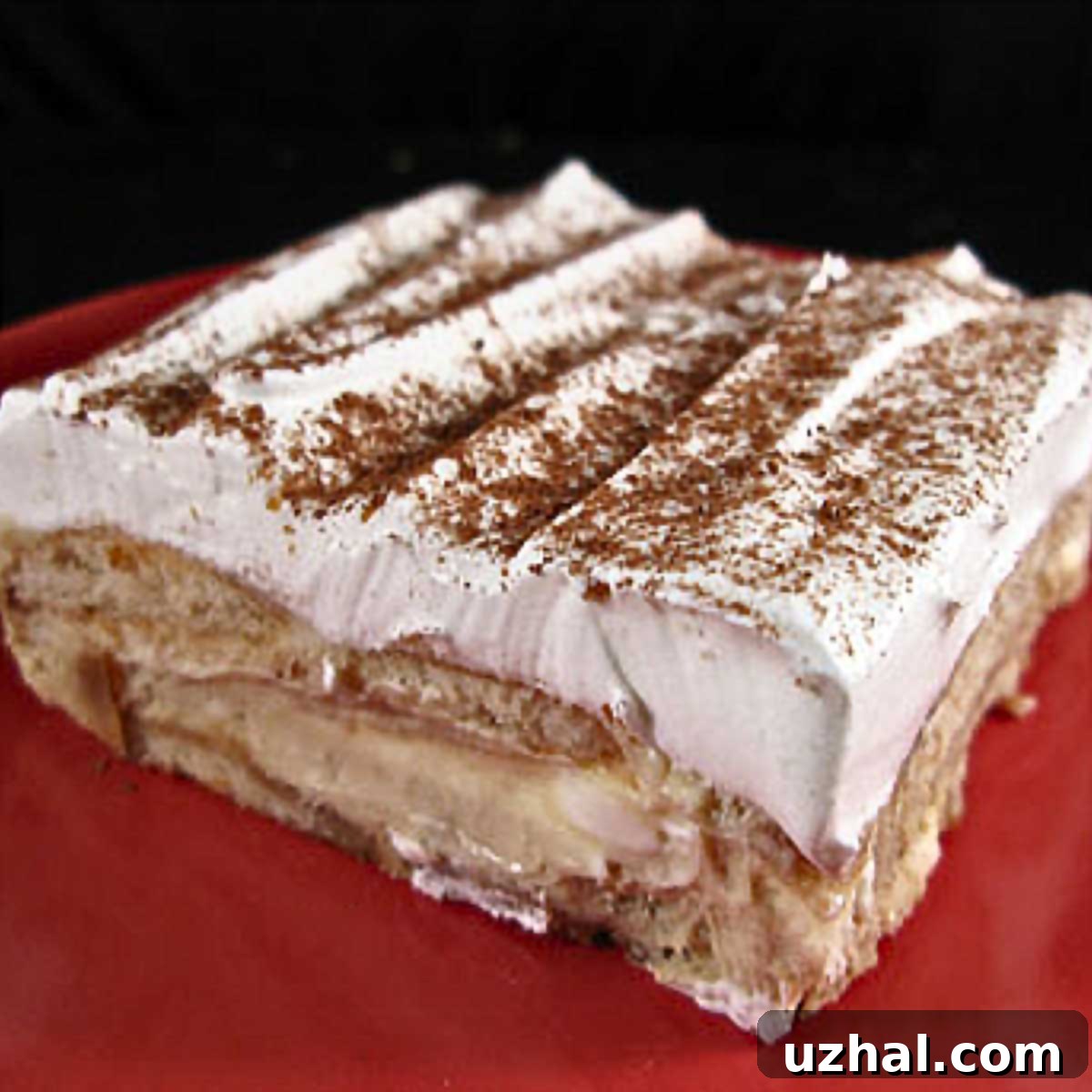 Tiramisu Cheesecake recipe from Kraft baked in a 9x13 inch pan, featuring a classic dessert presentation.