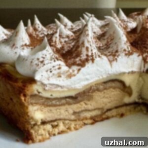 A perfectly sliced piece of Tiramisu Cheesecake, showing distinct coffee and vanilla layers and a cookie base.