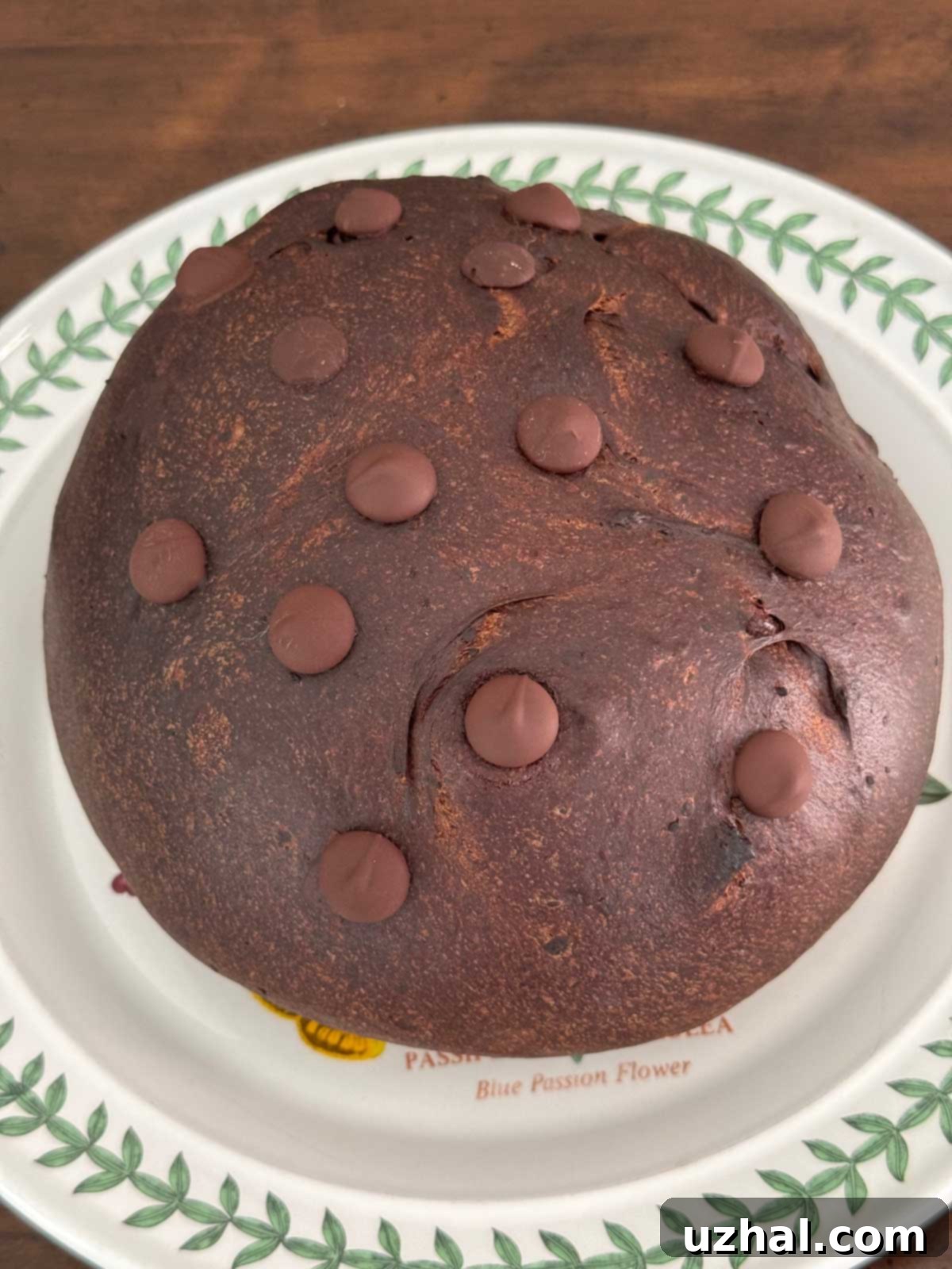 Low Carb Chocolate Yeast Bread