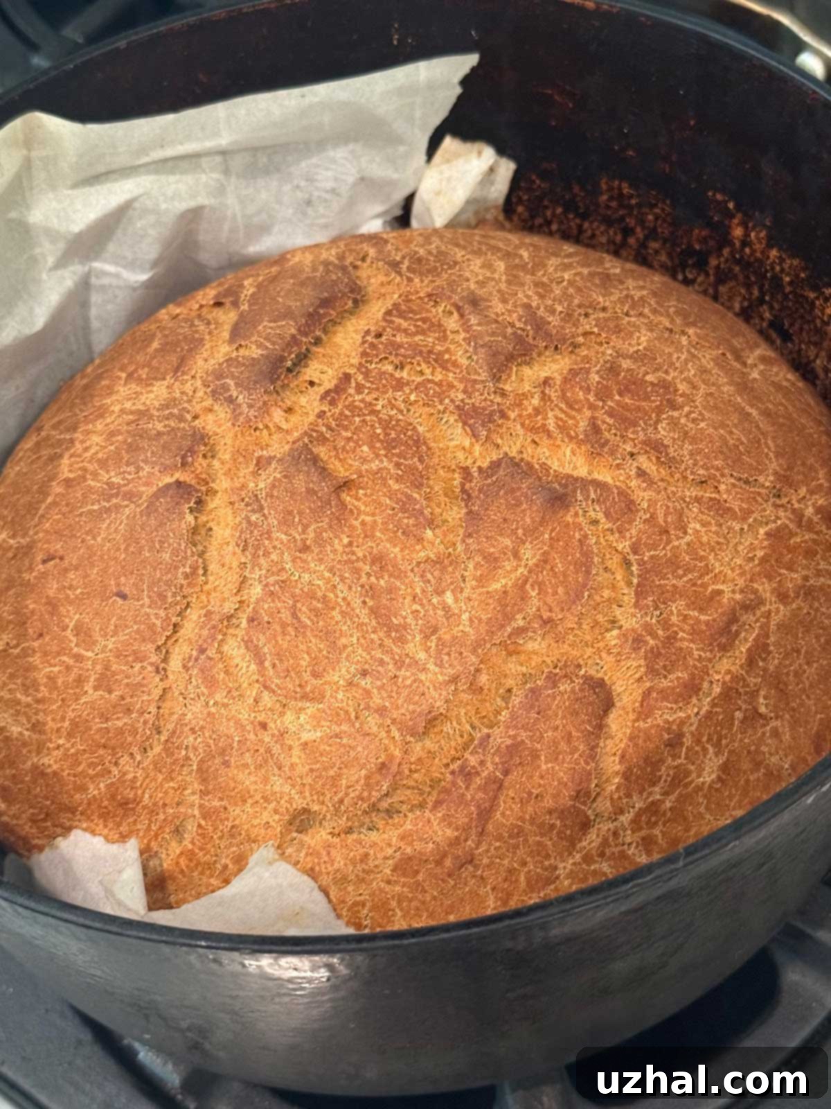 Rustic Franciscan style brown bread baked to perfection in a Dutch oven