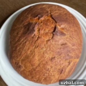 Franciscan Brown Bread recipe baked in a Dutch oven, showing a beautiful golden-brown crust.