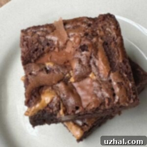 Milk Chocolate Brownies recipe designed for a 9-inch pan
