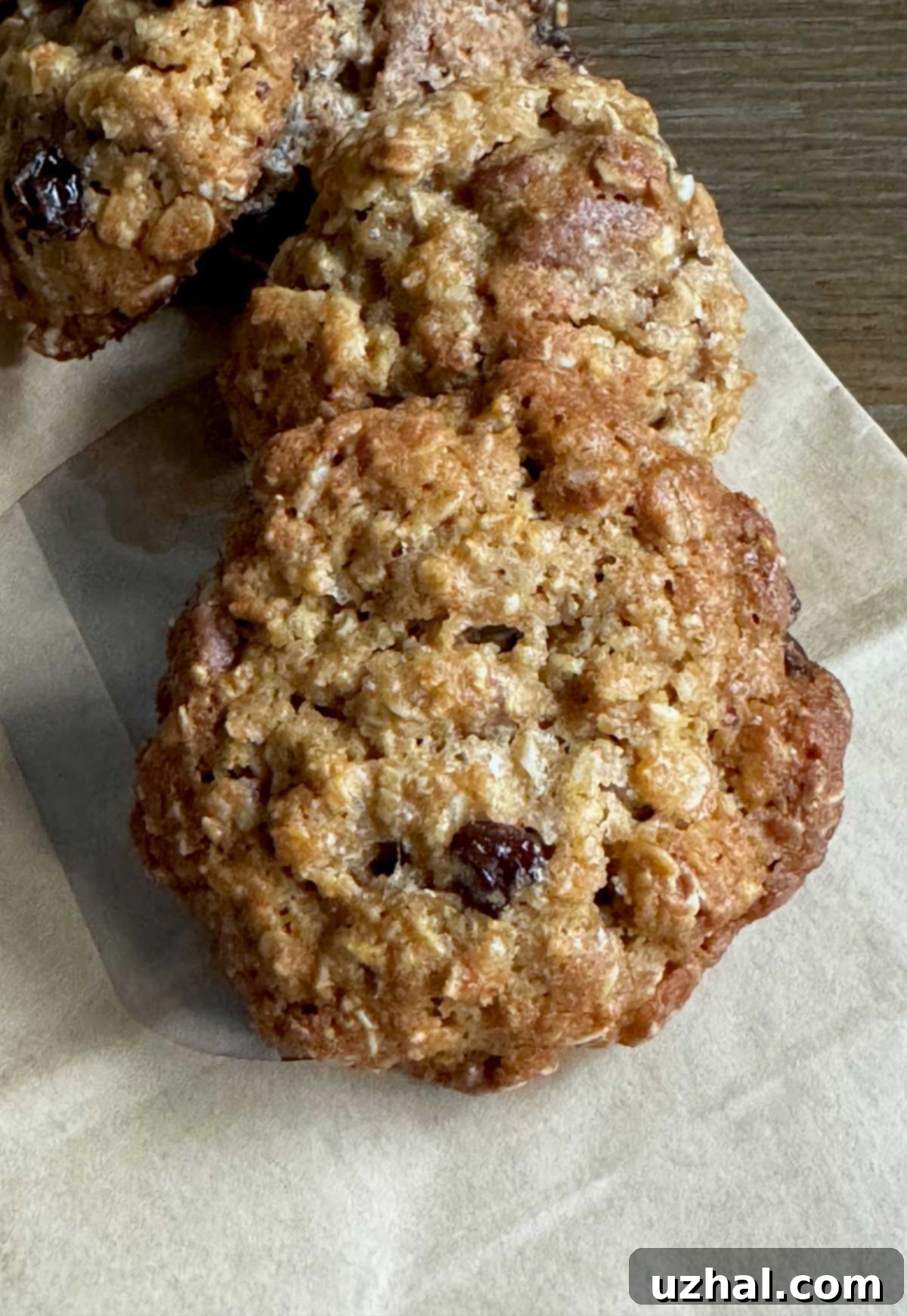 Sugar Free Oatmeal Cookies recipe made with Swerve or Lakanto Gold