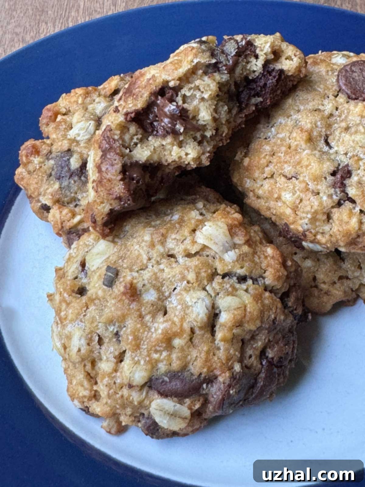 Sugar Free Chocolate Chip Cookies with Fiber Gourmet