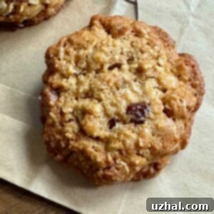 Sugar Free Oatmeal Cookies recipe made with Swerve or Lakanto Gold