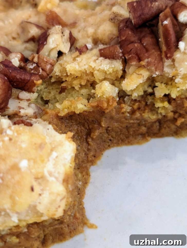 Pumpkin Dump Cake Texture, showing the creamy pumpkin layer and crunchy cake mix topping