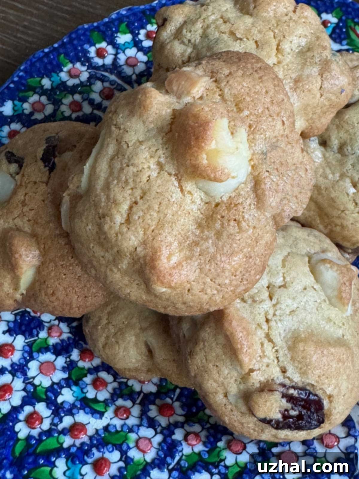 A batch of Simple Rice Flour Cookies studded with creamy macadamia nuts and tangy dried cranberries, showcasing a delightful texture and rich flavor additions.