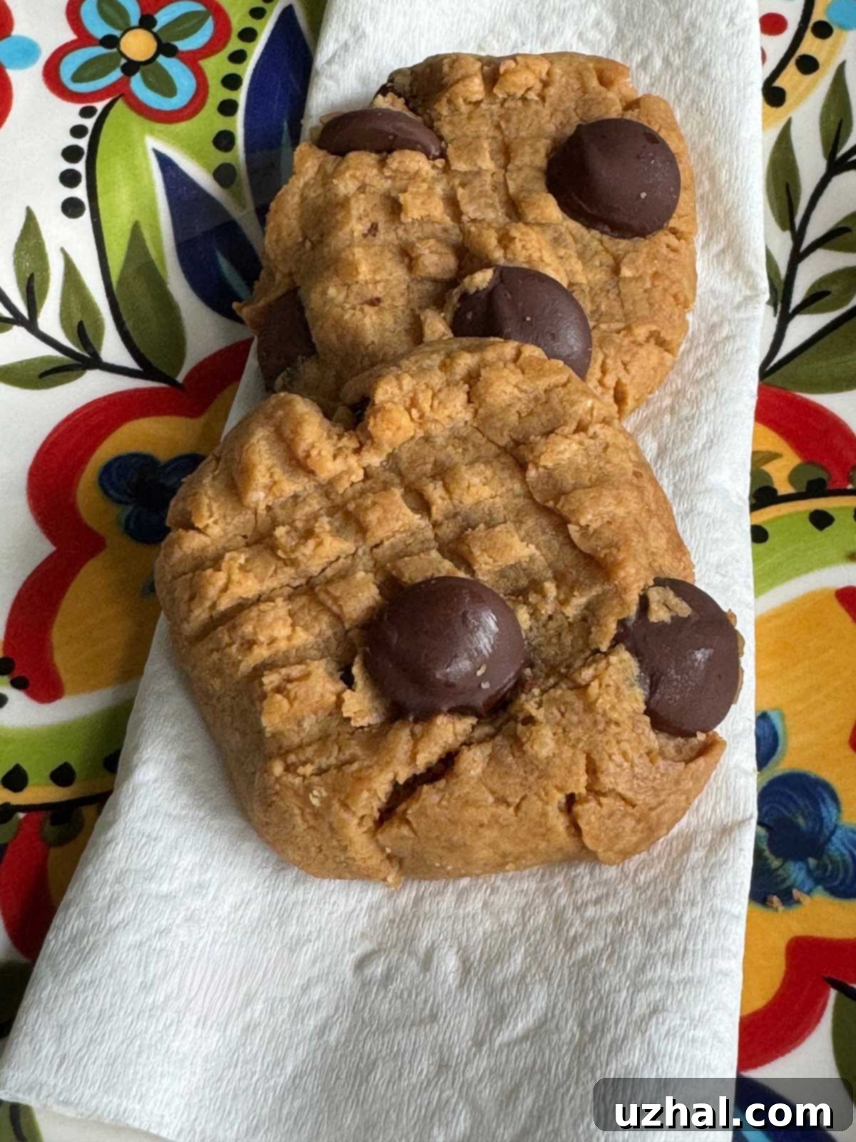 Peanut Butter Protein Cookies recipe with peanut powder, showcasing a plate of freshly baked cookies.