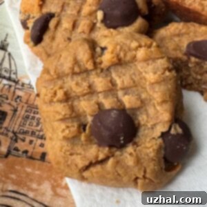 Peanut Butter Protein Cookies recipe without eggs or protein powder. A plate of perfectly baked, golden-edged cookies.