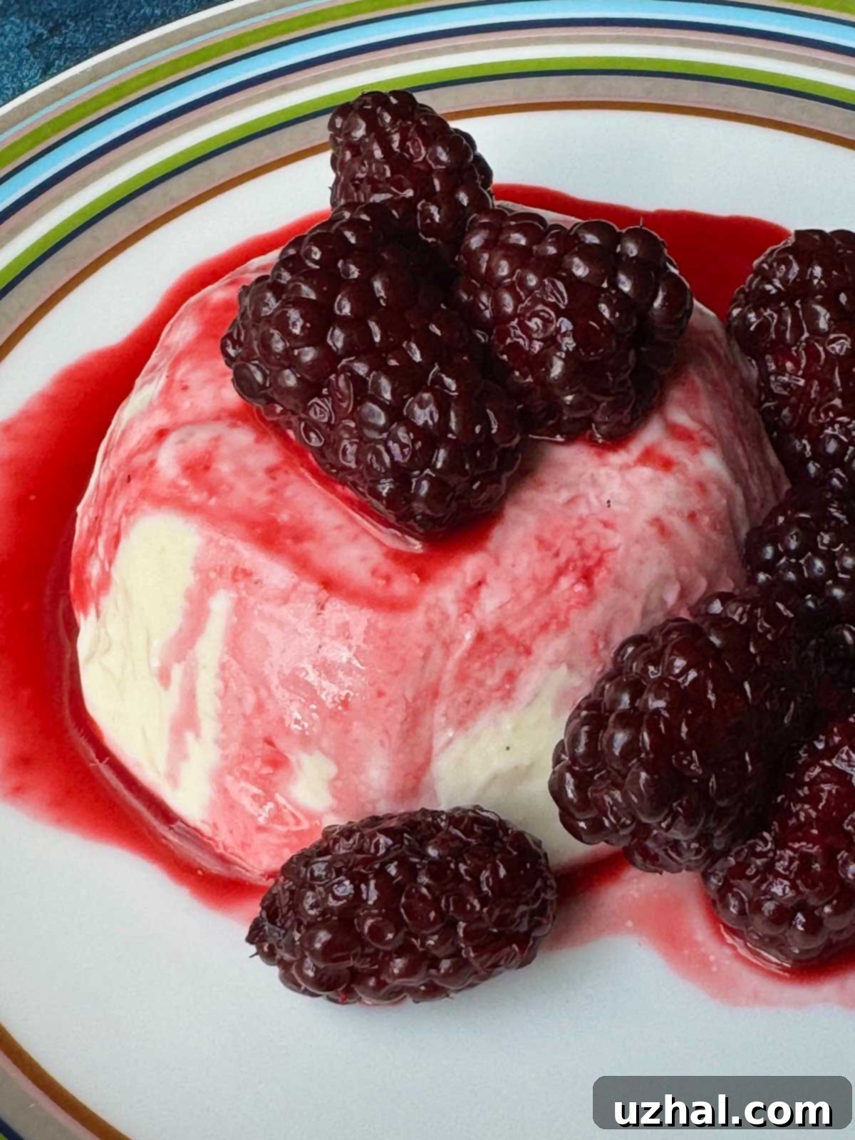 Greek Yogurt Panna Cotta with an easy Blackberry Compote recipe.