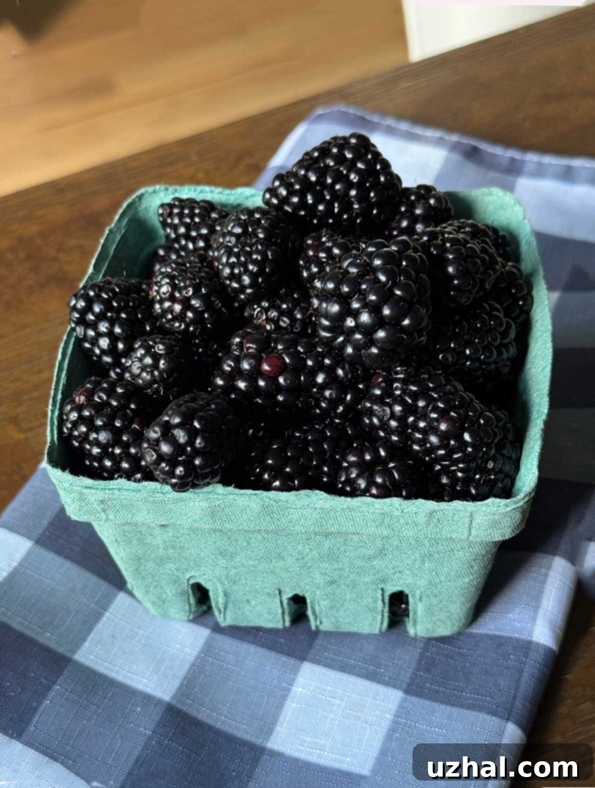 A bucket of blackberries from a North Carolina farm.
