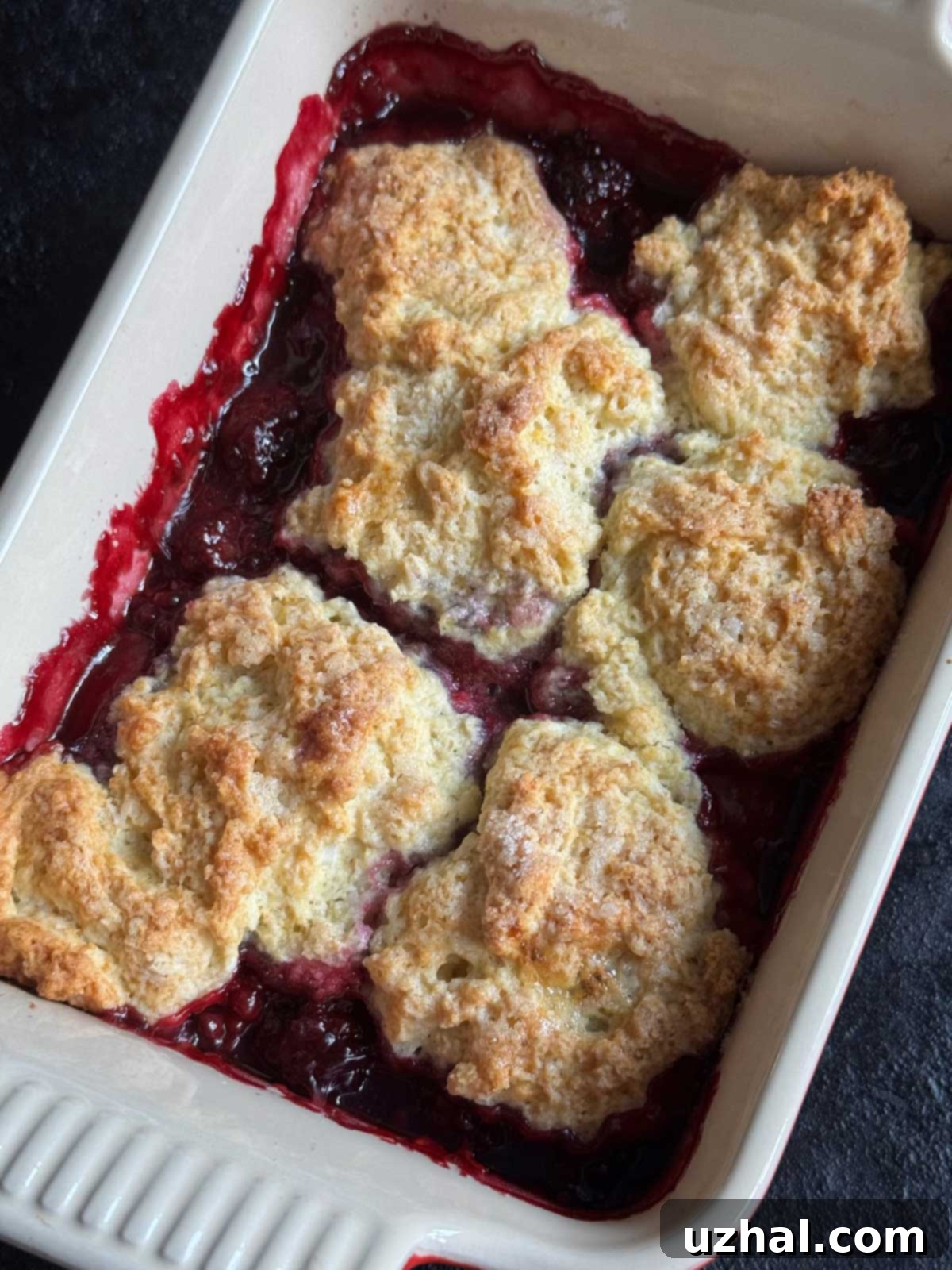 Quick Blackberry Cobbler recipe with a fluffy drop biscuit topping, fresh from the oven and ready to serve.
