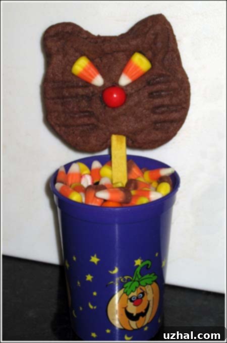 cookie_on_stick1.jpg