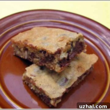 Close-up of a delicious chocolate chip bar
