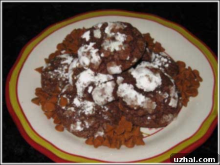 Close-up of Cinnamon Chip Chocolate Crackle Cookies