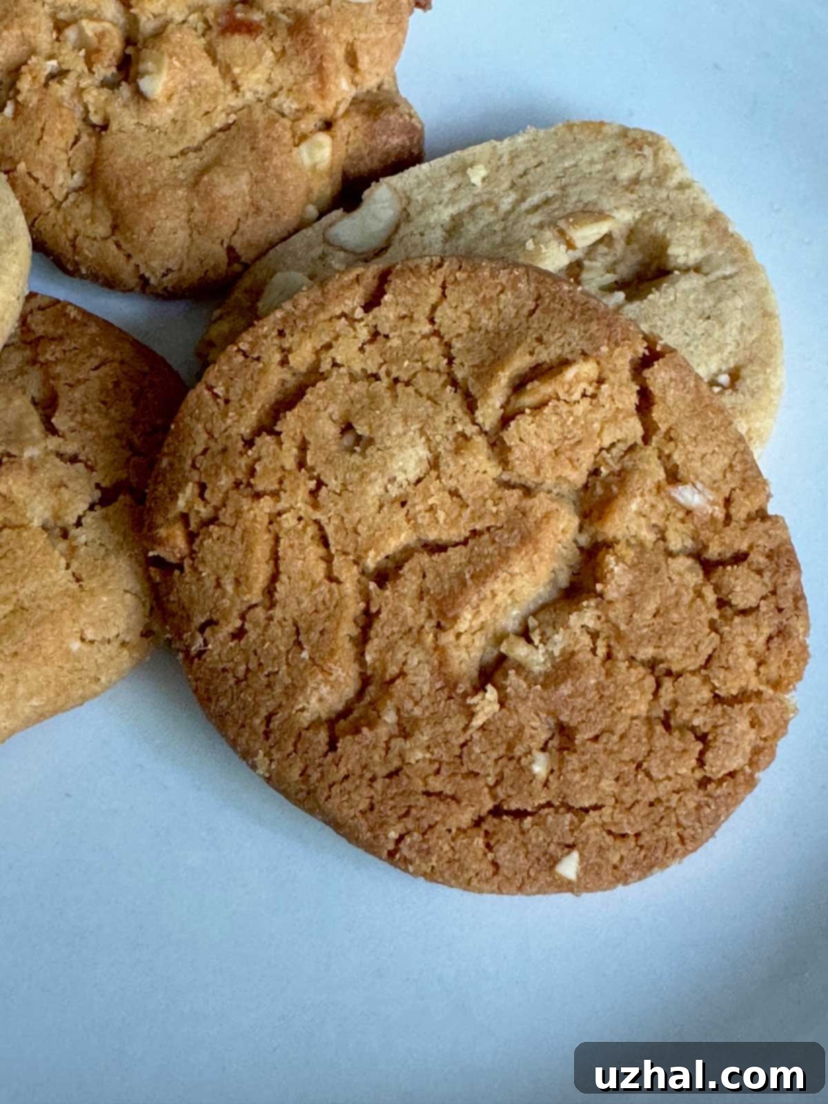 Freshly baked peanut butter slice and bake cookies with a perfect crumbly texture.