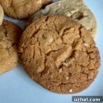 Peanut Butter Slice and Bake Cookies