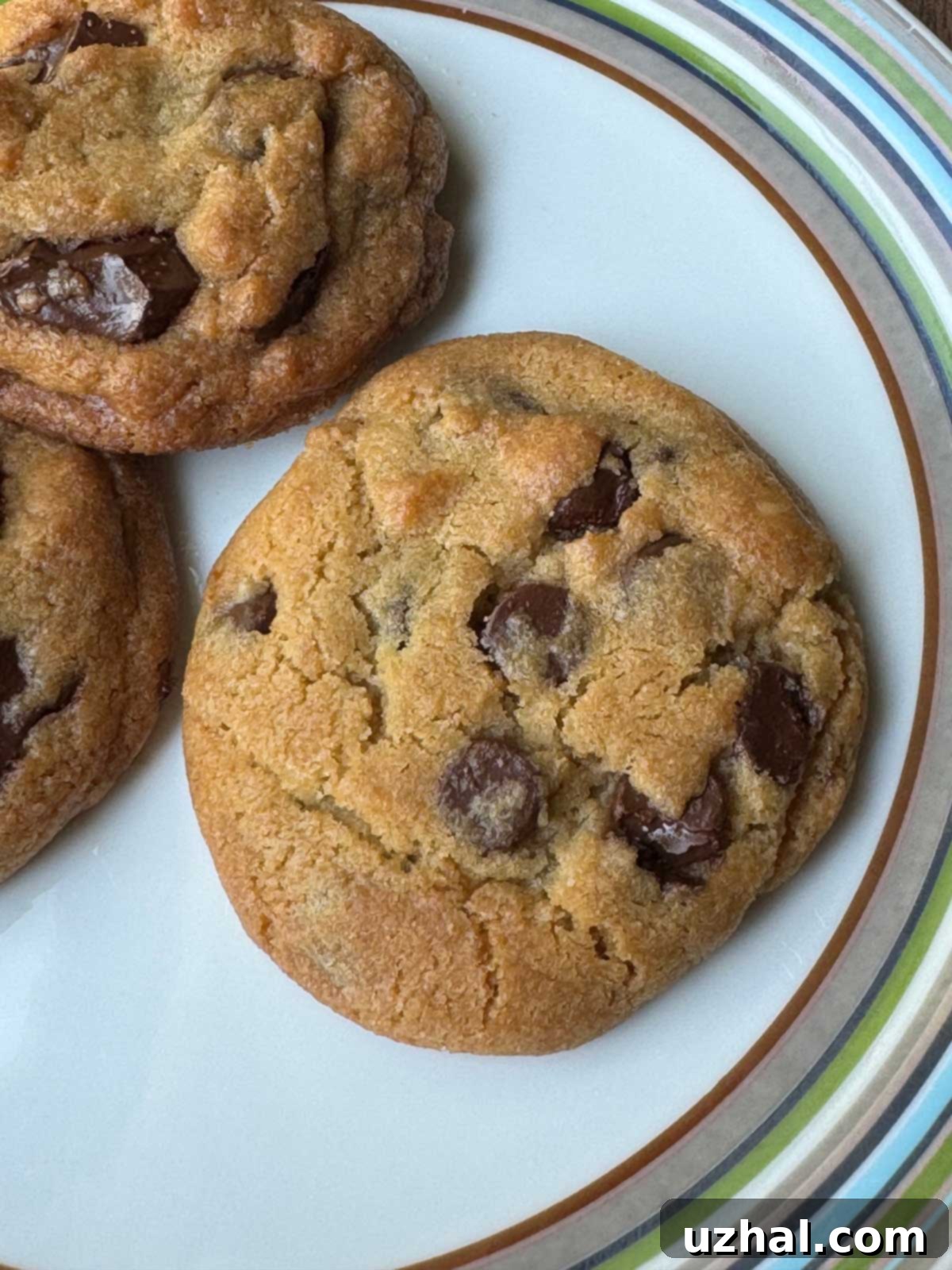 An Otis Spunkmeyer style cookie made with homemade cookie dough that's 50% shortening and 50% plant butter, displaying crisp edges and a soft center.