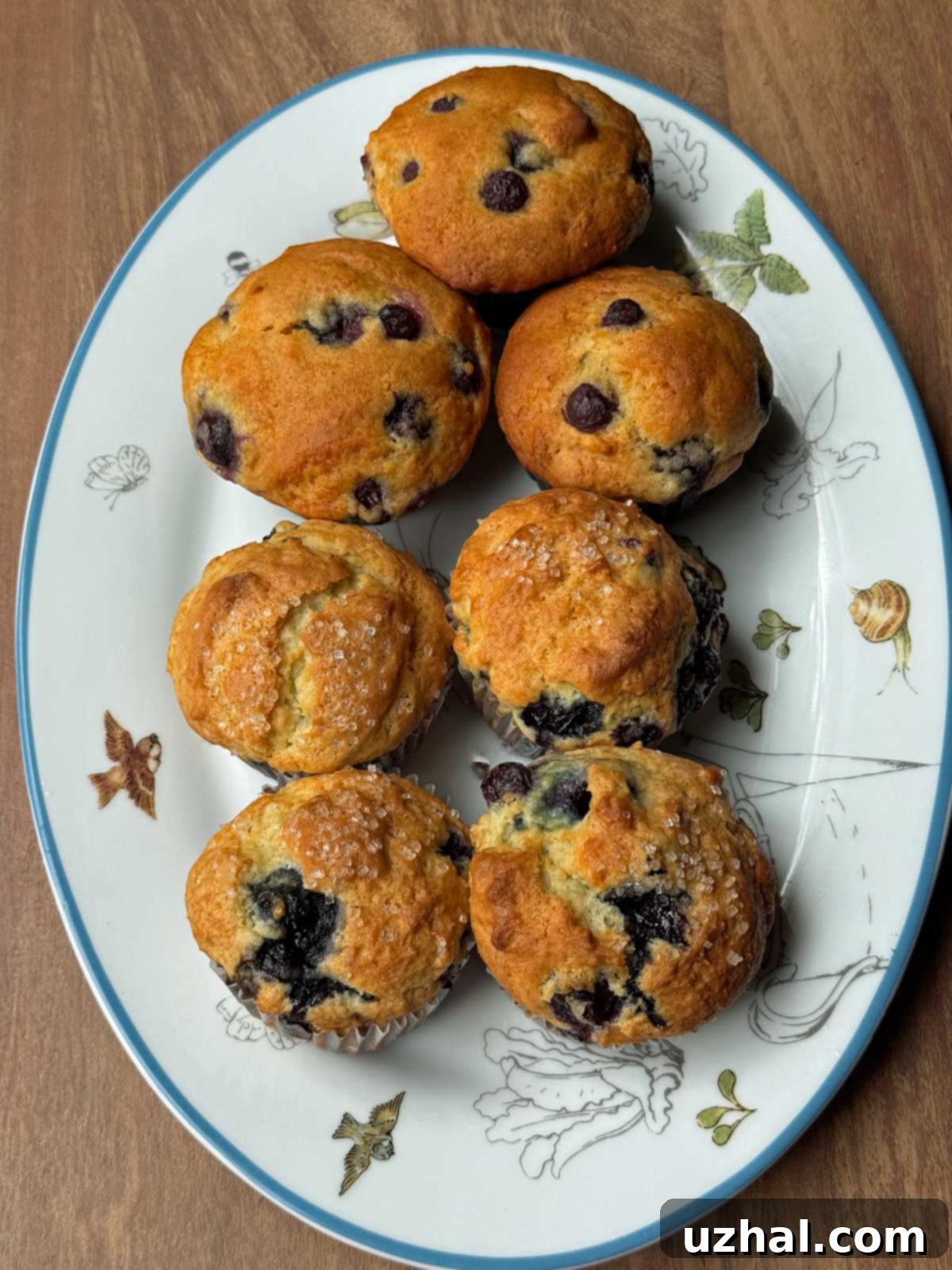 Two types of Greek Yogurt Blueberry Muffins, some made with traditional ingredients, others with Fiber Gourmet and allulose.