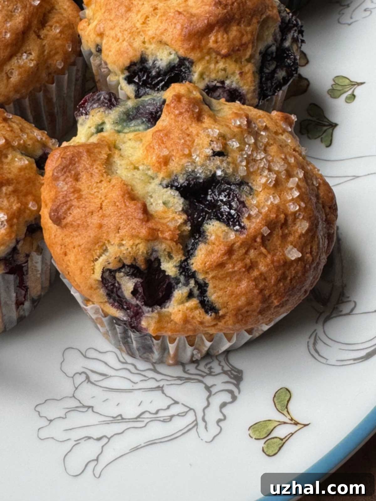 Close-up of a perfectly baked Greek Yogurt Blueberry Muffin, highlighting its tender crumb.