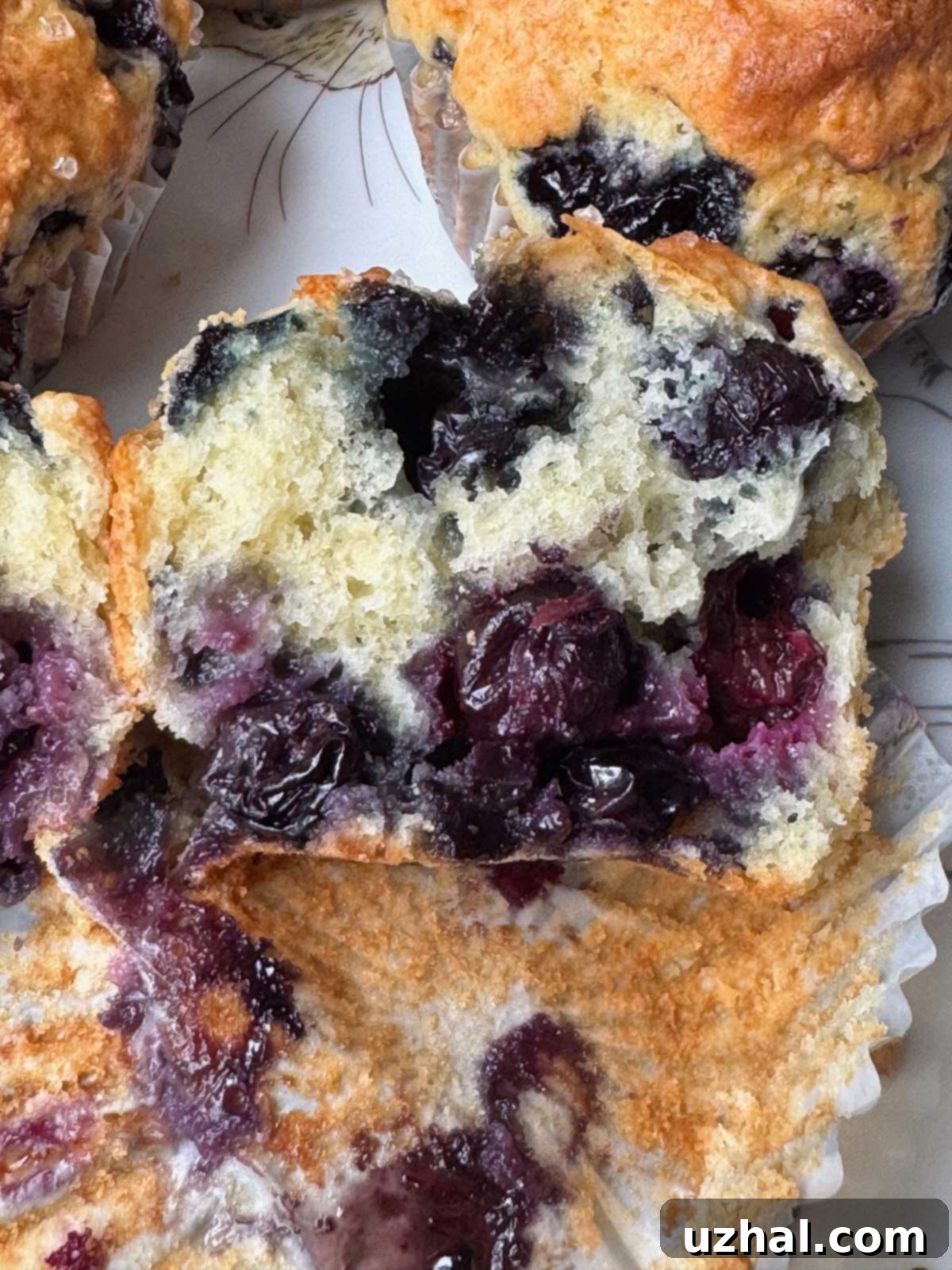 Detailed cross-section of a Greek Yogurt Blueberry Muffin, showing its soft and airy texture made with all-purpose flour and sugar.