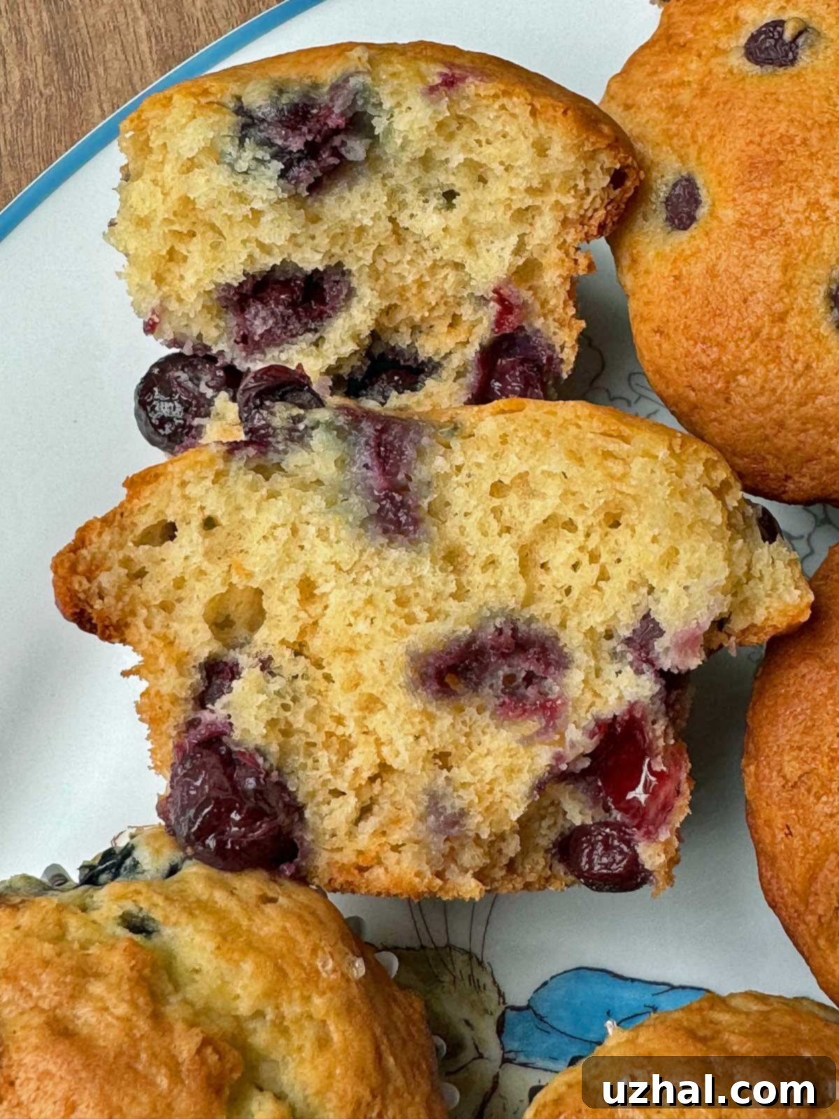 Close-up texture of a Greek Yogurt Blueberry Muffin made with Fiber Gourmet flour and allulose, showing a tender, moist interior.