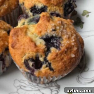 A beautifully baked Greek Yogurt Blueberry Muffin, ready to be enjoyed.
