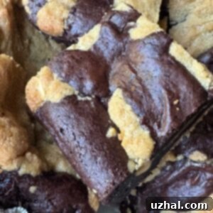 Decadent Peanut Butter Brookies 5 Peanut Butter Brookies recipe, showing the finished bars.