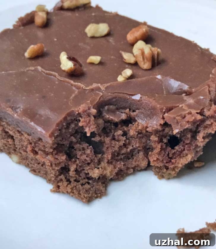 Classic Texas Sheet Cake, a popular Southern dessert.