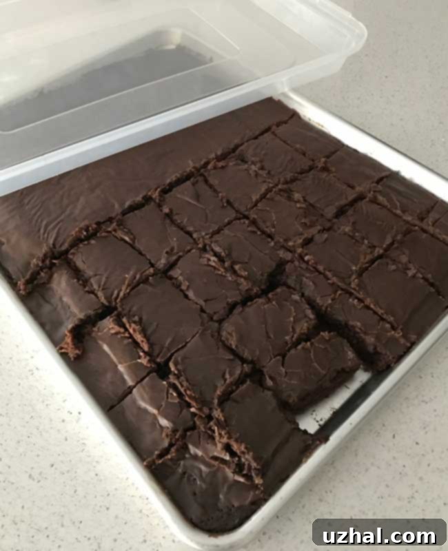 Freshly baked Texas Sheet Cake in a sheet pan.