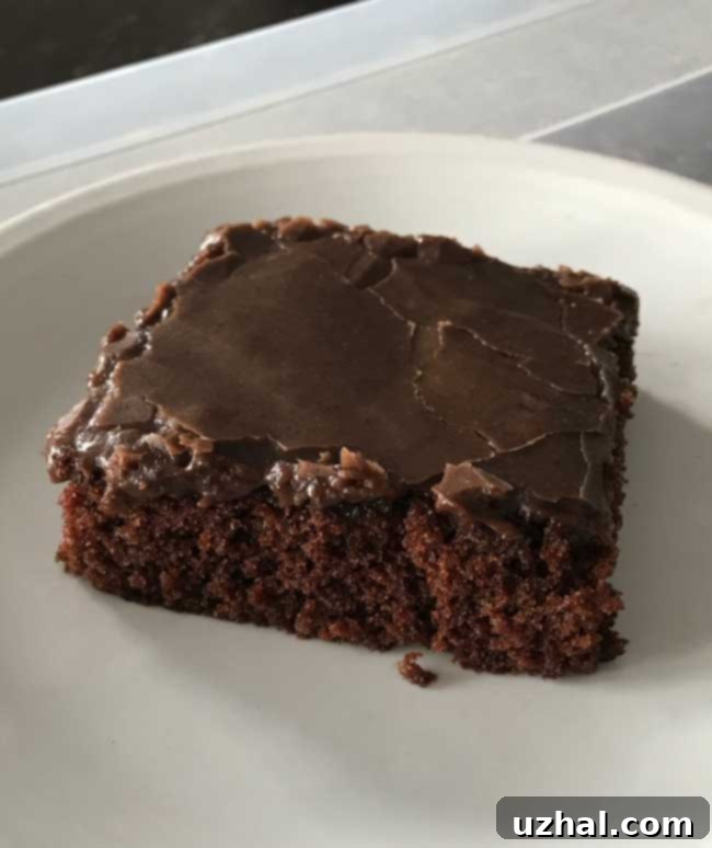 Close-up of Texas Sheet Cake with a rich chocolate frosting.