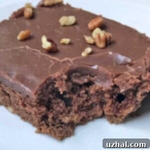 Texas Sheet Cake recipe designed for a half sheet pan.