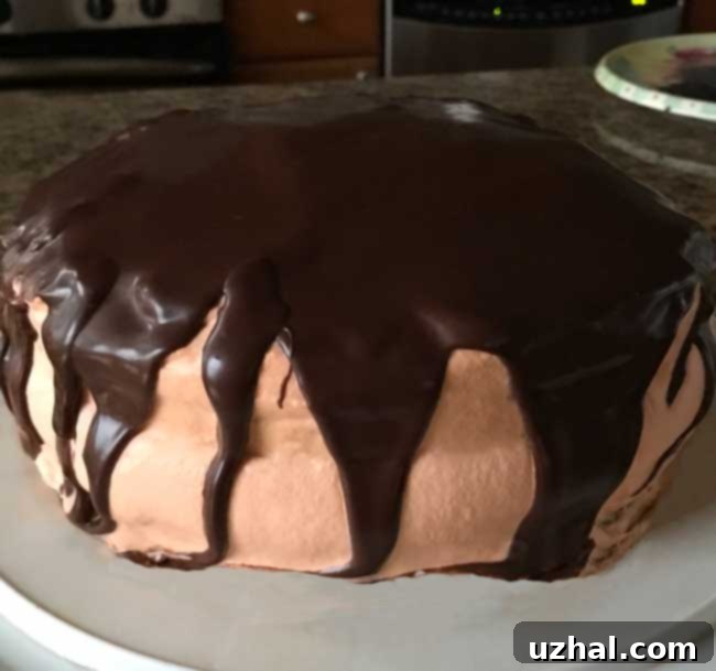 Creepy Chocolate Layer Cake with orange whipped cream and chocolate drizzle, ready for Halloween