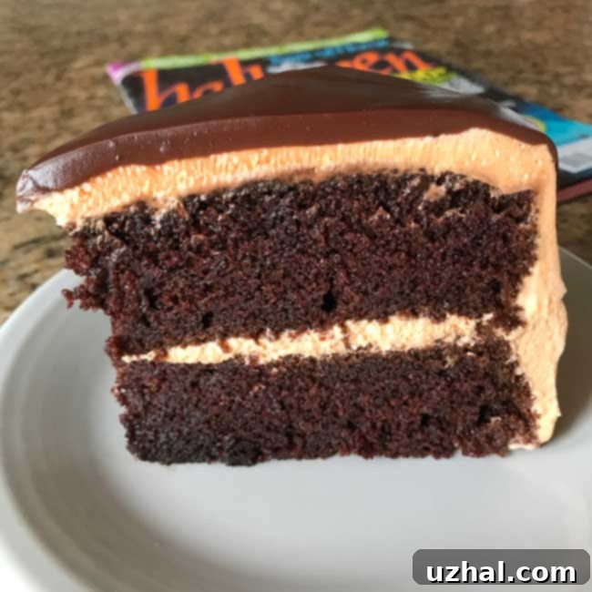 Phantom Tuxedo Cake 3 Slice of Halloween Tuxedo Cake on a plate, showing distinct layers