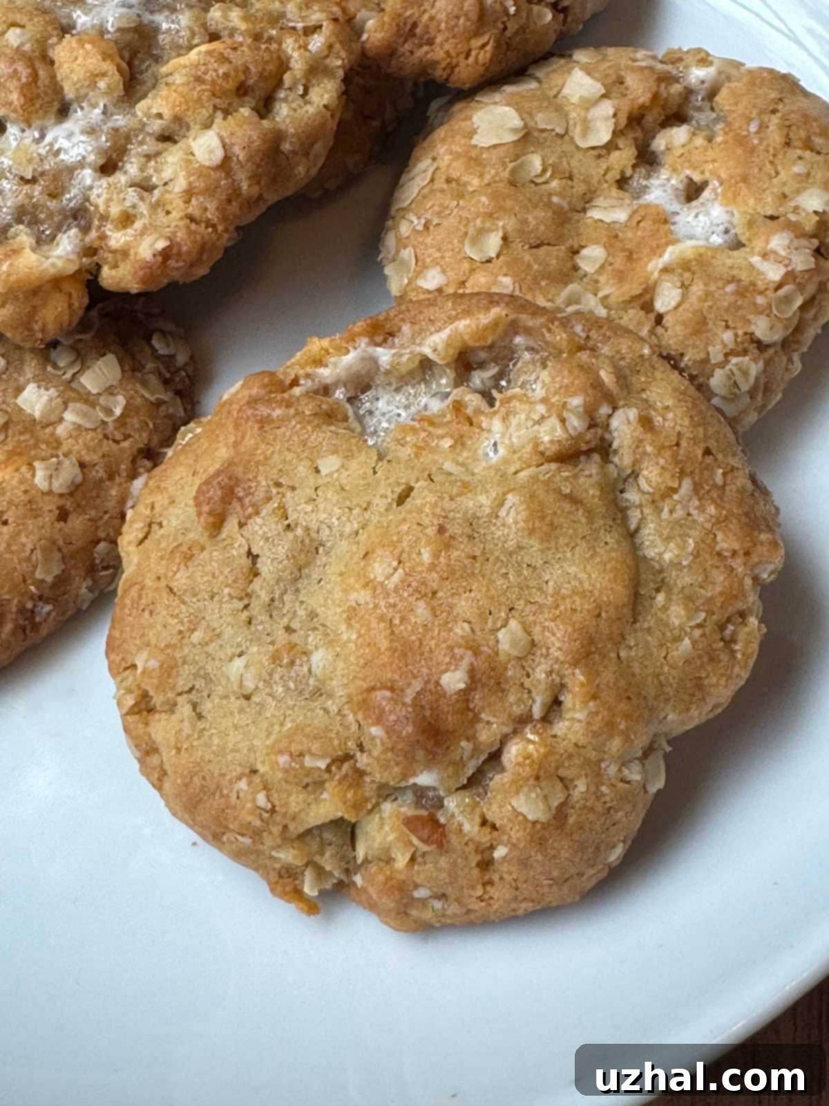 Butterscotch Marshmallow Cookies recipe with a gooey center