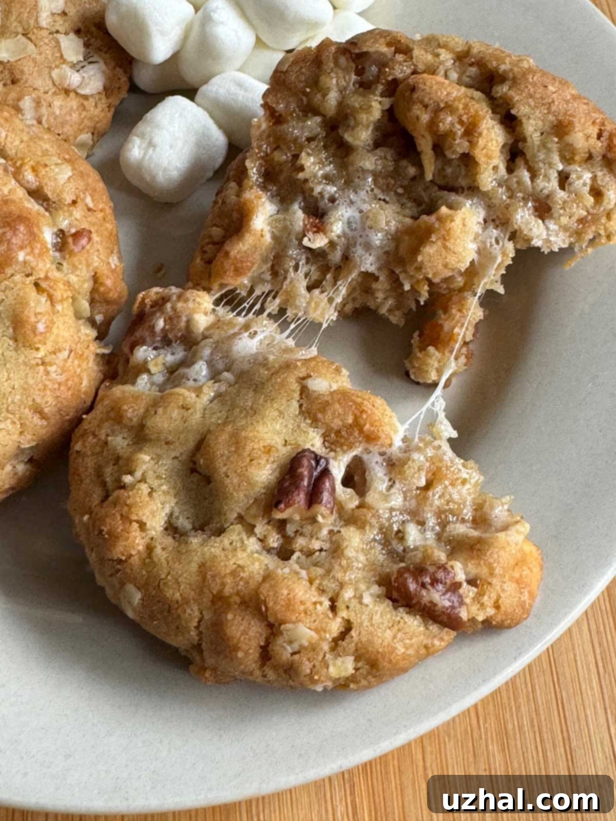 Chewy cookie with melted marshmallow and butterscotch chips