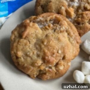 Butterscotch Marshmallow Cookies recipe
