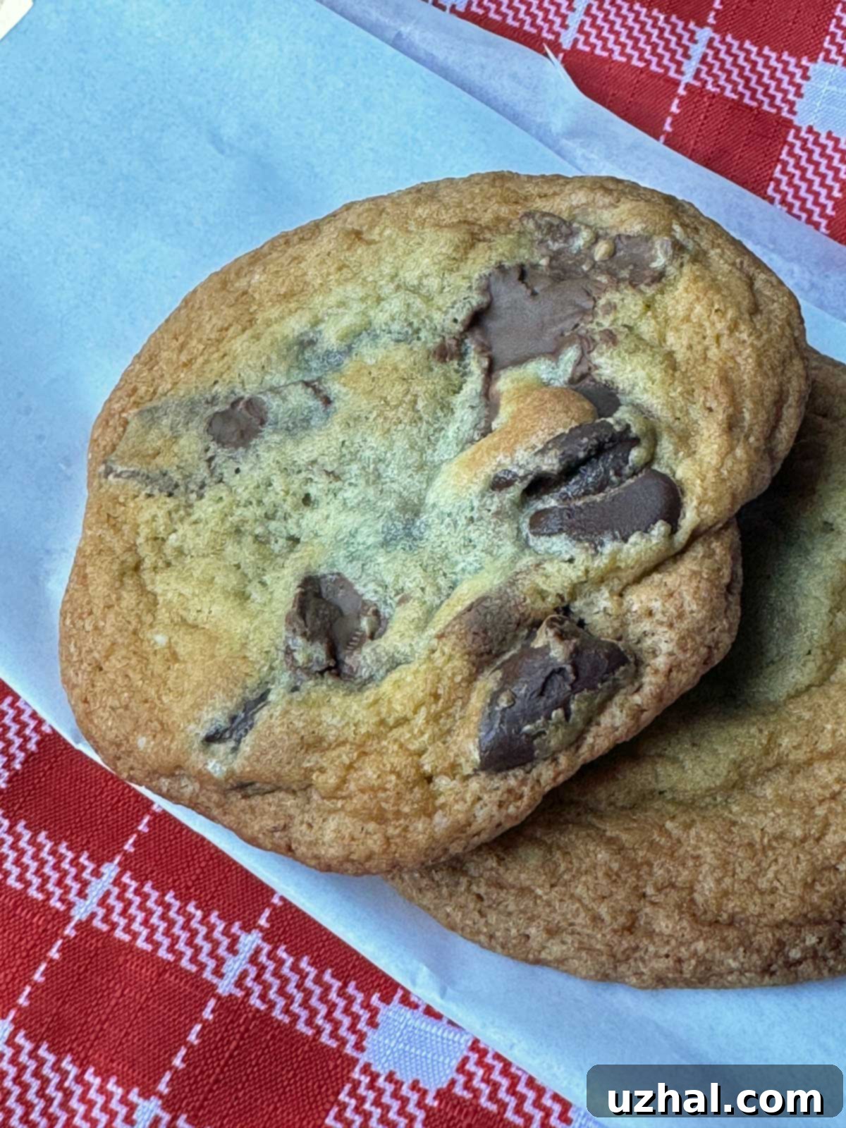 Soft chocolate chunk cookies like the ones served at Harry's Roadhouse in Santa Fe, freshly baked and ready to enjoy.