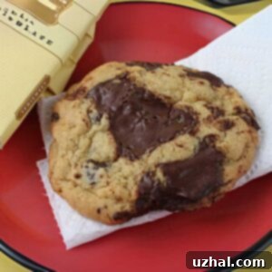 Harry's Roadhouse Chocolate Chip Cookie copycat recipe
