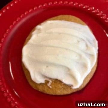 Sue's Frosted Pumpkin Cookie Recipe