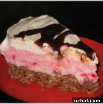 Milk Chocolate Peppermint Ice Cream Crunch Cake, a delightful frozen dessert