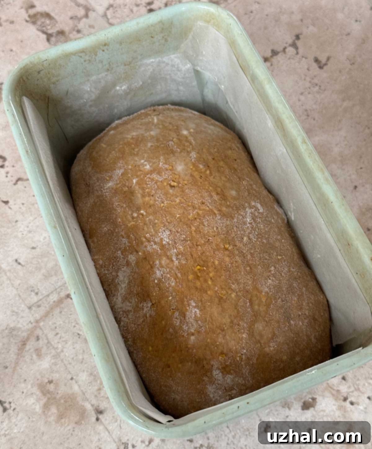 Freshly baked Anadama Bread cooling in a deep loaf pan, highlighting its tall rise and golden-brown crust.