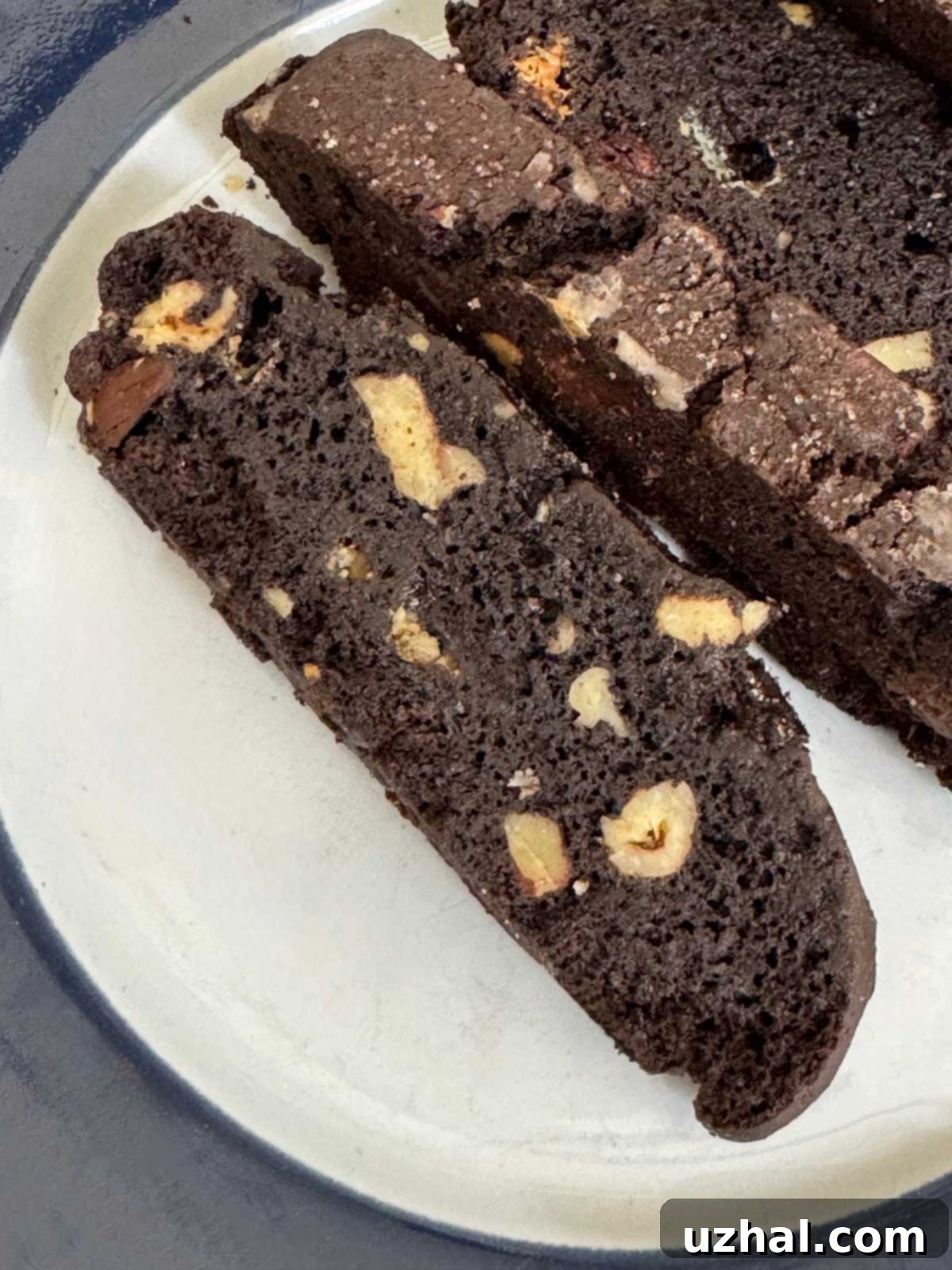 Mexican Chocolate Biscotti recipe adapted from Gourmet Magazine, featuring a stack of delicious, twice-baked cookies dusted with cinnamon sugar