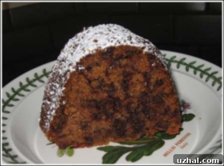Applesauce Chocolate Chip Cake, a beautiful Bundt cake dusted with powdered sugar.