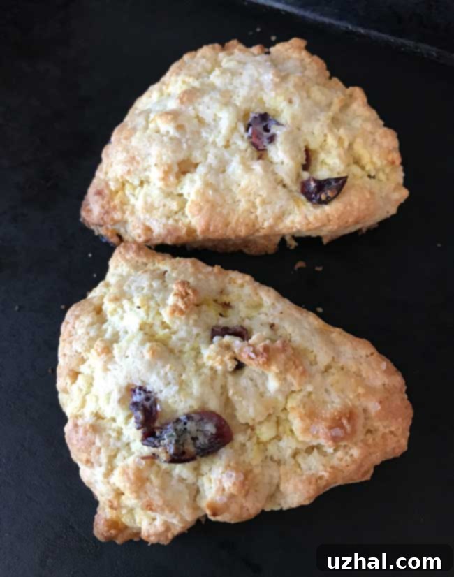 Great Harvest Scones Clone - Close-up of baked scones