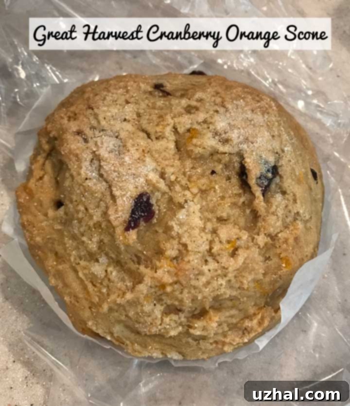 Actual Great Harvest Scone