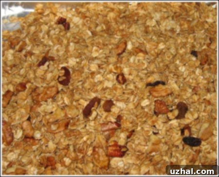 golden brown maple glazed walnuts mixed in with crispy Grace Parisi's Granola, ready for a healthy breakfast