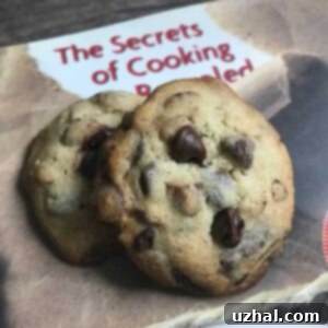 Cookwise Chocolate Chip Cookies or In Between Cookies from Shirley Corriher. Freshly baked, golden brown cookies with melted chocolate on a cooling rack.